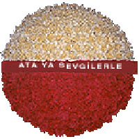 Ankara Aya ieki firmamzdan Antkabir iin iek elenk modeli
